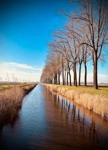 Omgeving